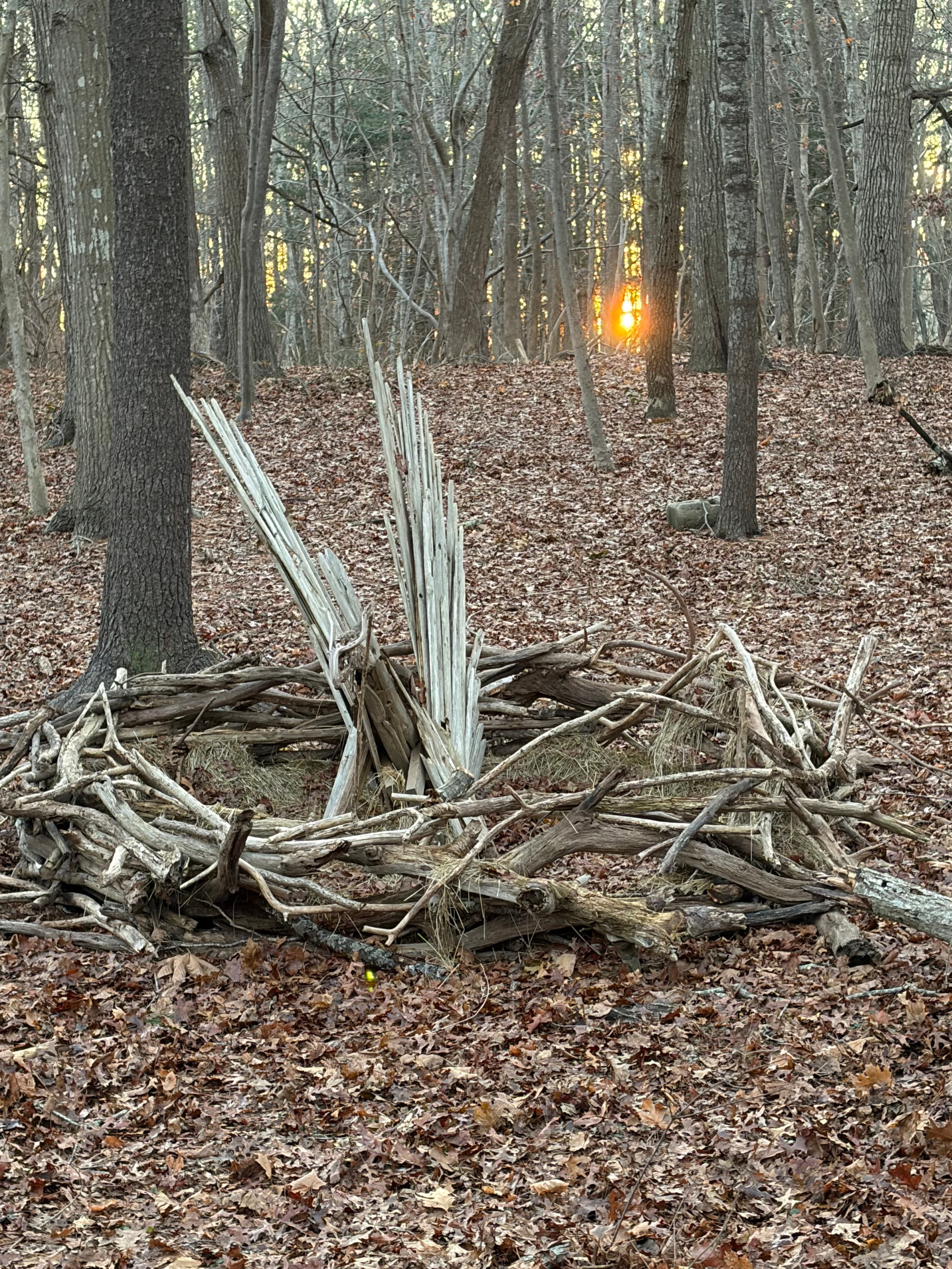 Nature Art — Tonito Valderrama