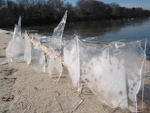 Nature Art — Tonito Valderrama