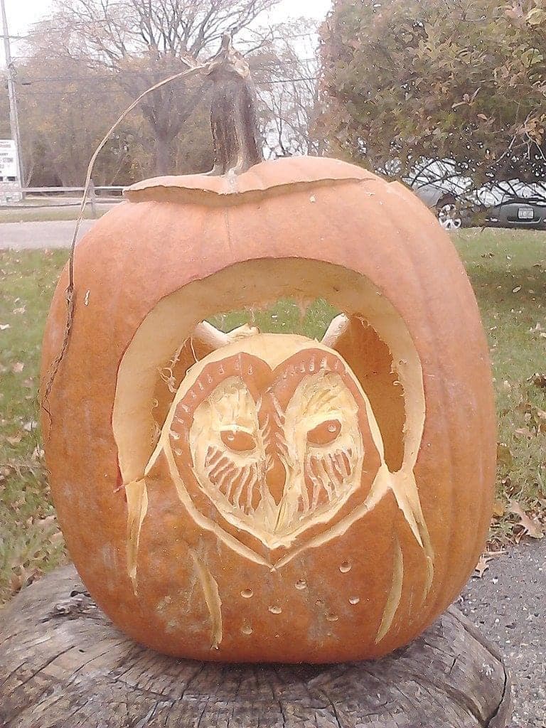 Nature Art — Tonito Valderrama