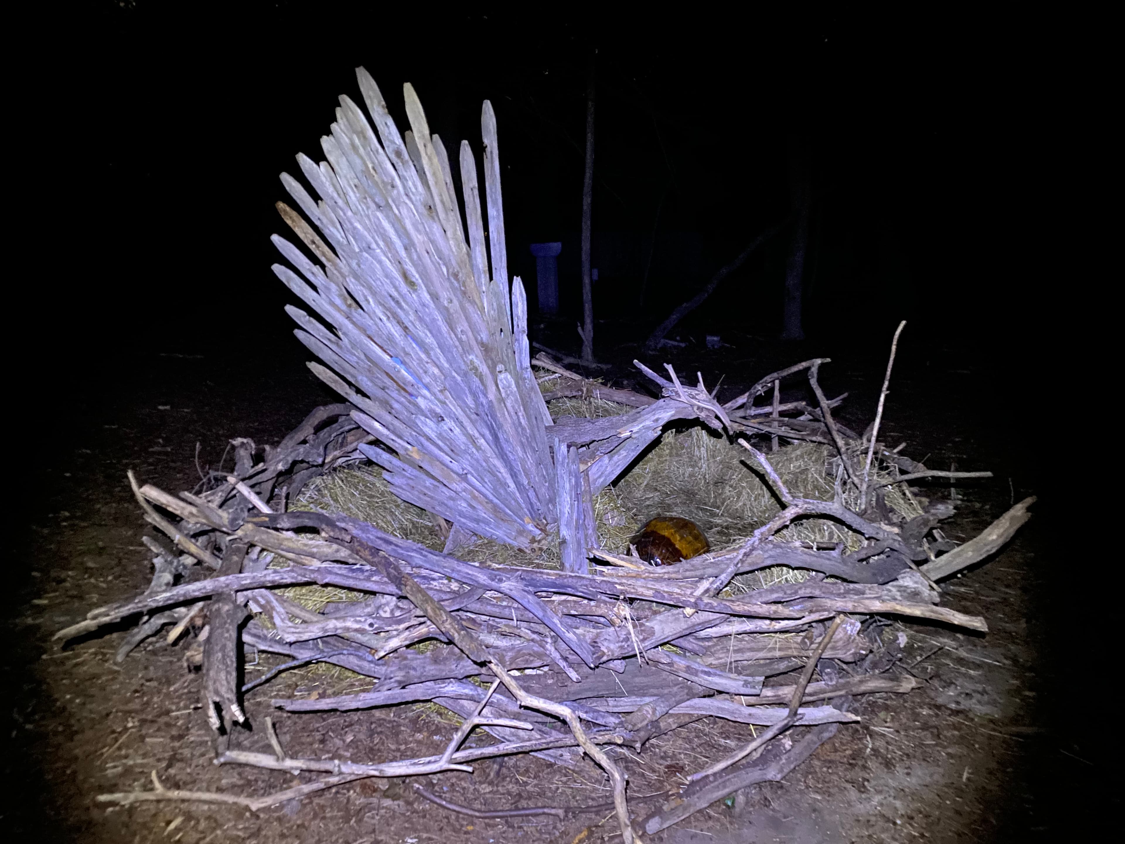 Installations — Tonito Valderrama