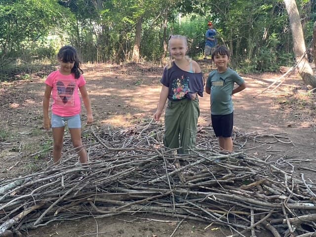 Building a nest
