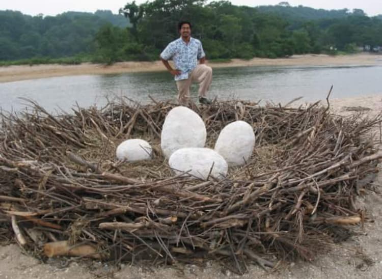 Tonito Valderrama large-scale nest installation on Long Island beach