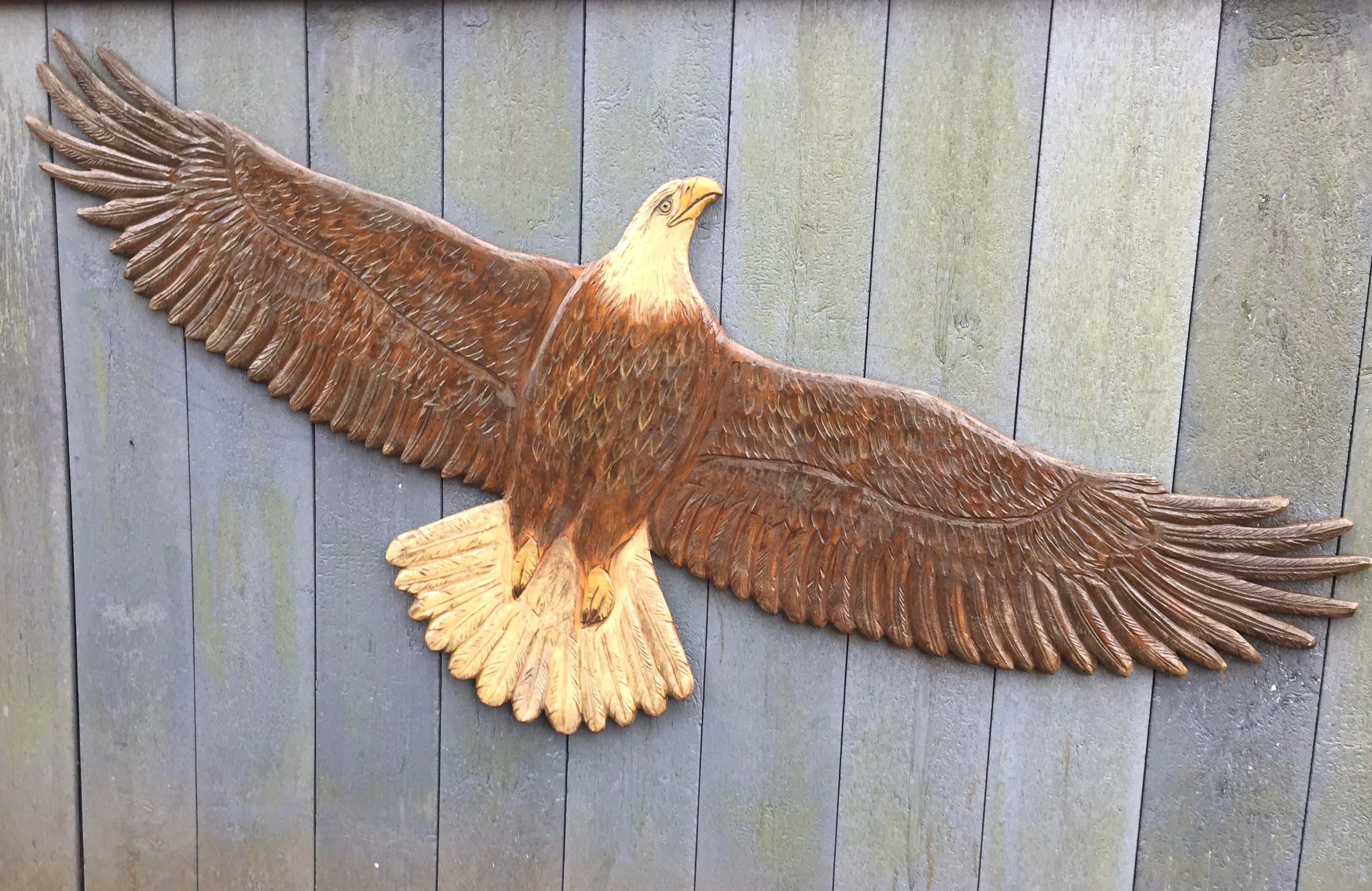 Eagle Cutout